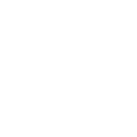 true north compass logo